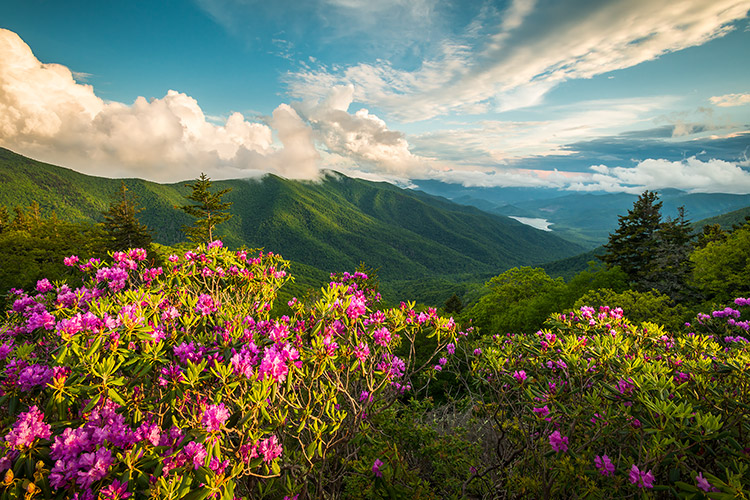 Mt Mitchell North Carolina Blue Ridge Mountains Scenic Outdoor Photography Print