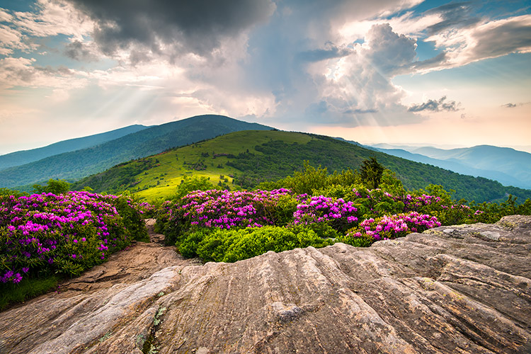 Roan Mountain Scenic Appalachian Fine Art Landscape Photography Print