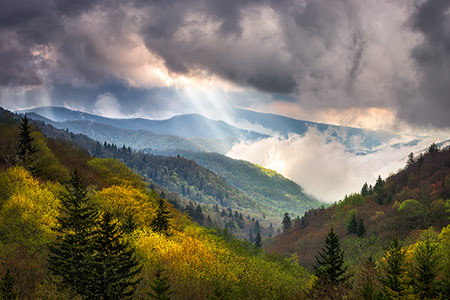 Great Smoky Mountains Scenic Landscape