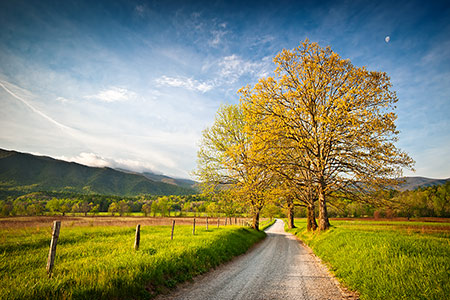 Scenic Cades Cove Great Smoky Mountains Photography