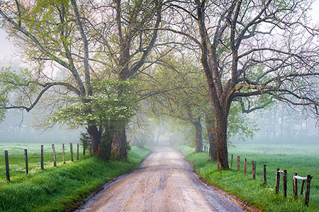 Scenic Dirt Road Cades Cove Smoky Mountains