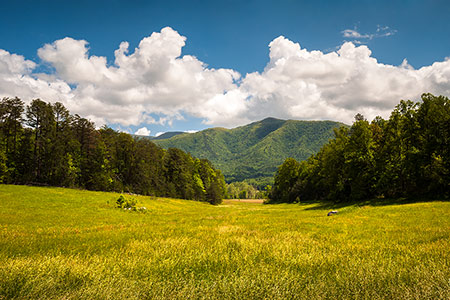 Cades Cove Great Smoky Mountains Landscape