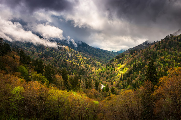 Gatlinburg TN Smoky Mountains Landscape Photography