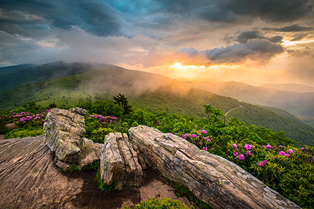 Roan Mountain Appalachian Trail Scenic Landscape