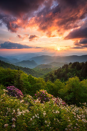 Great Smoky Mountains Spring Blooms Scenic Landscape