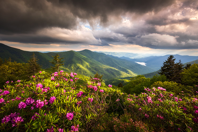 Blue Ridge Parkway Landscape Photography Asheville NC Prints