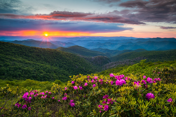 best time to visit asheville nc in the spring