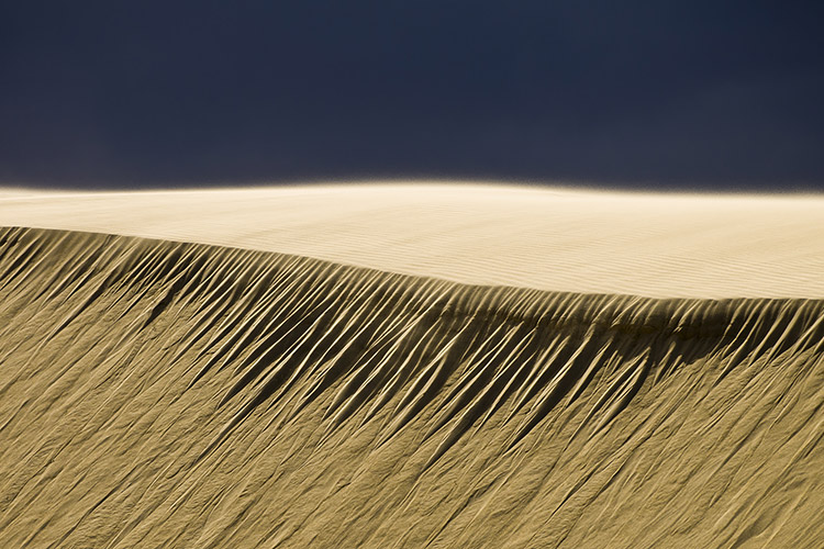 Outer Banks Jockeys Ridge Sand Dunes Photography OBX NC Art Prints