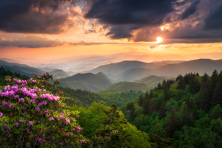 Woolyback Overlook Blue Ridge Parkway Photo Art Prints