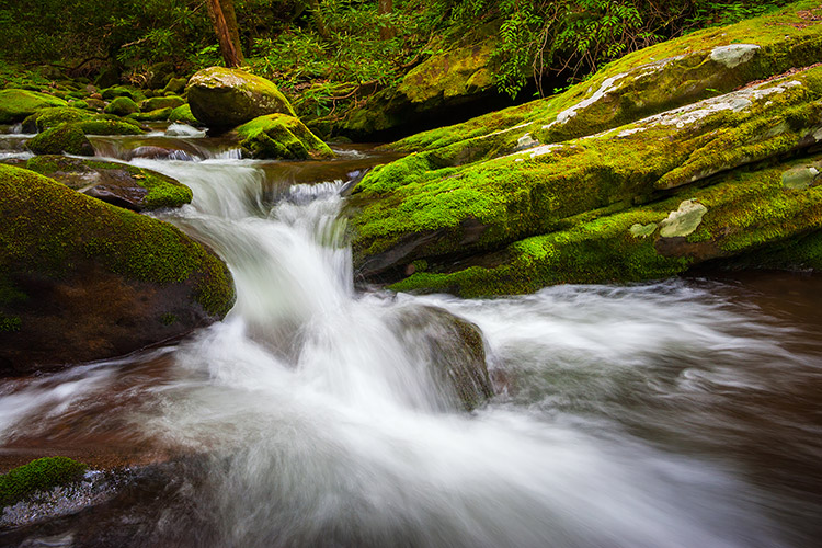 Scenic Outdoor Landscape Photography Gatlinburg TN Art Print