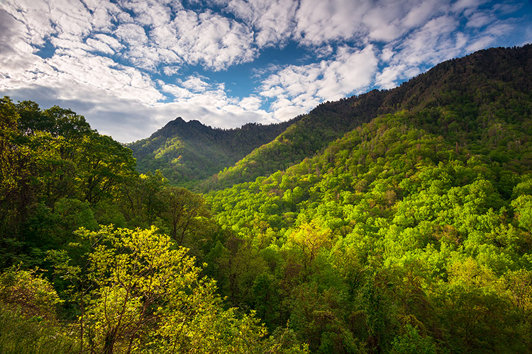 Gatlinburg TN Scenic Mountains Fine Art Landscape Prints