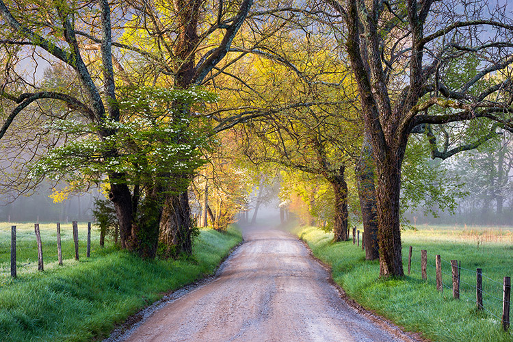 Cades Cove Smoky Mountains TN Landscape Photography Prints