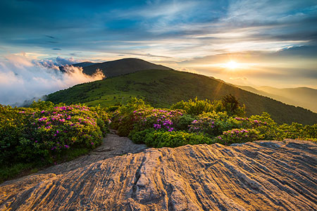 Scenic Landscape Photography Appalachian Mountains Spring Flowers