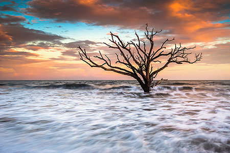 Edisto Island SC Boneyard Beach Photography