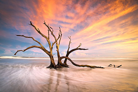 Charleston SC Photo Location Folly Beach