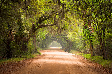 Deep South Edisto Island Landscape Photography