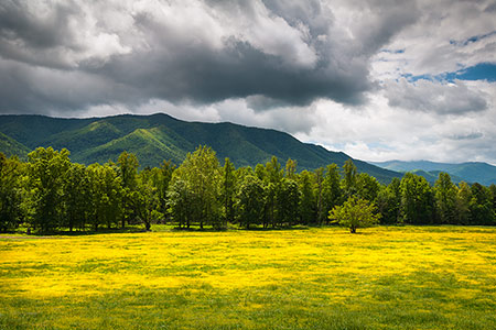 Cades Cove Fields Smoky Mountains National Park