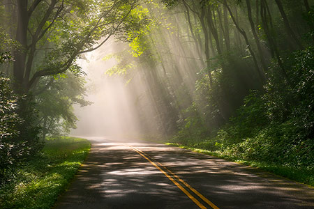 North Carolina Asheville NC Blue Ridge Parkway Photography Prints