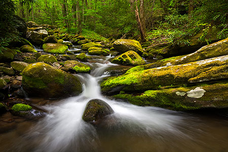 Gatlinburg TN Great Smoky Mountains Photography