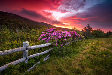 Appalachian Trail Landscape Photography