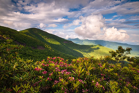 North Carolina Asheville NC Blue Ridge Parkway Landscape