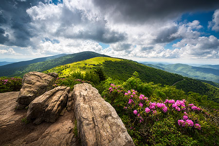 Roan Mountain Workshop