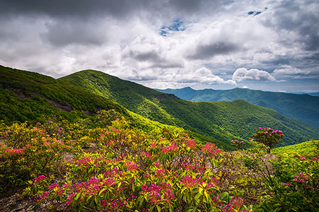 North Carolina Asheville NC Blue Ridge Parkway Scenic Photography