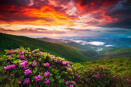 Charleston SC Lowcountry Landscape Photo Location