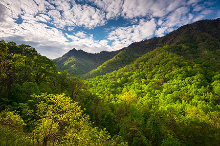 Gatlinburg TN Scenic Mountains Fine Art Landscape