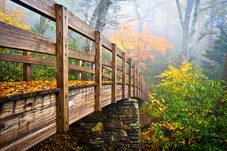 Tanawha Hiking Trail Rough Ridge Blue Ridge Parkway Picture