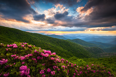 Craggy Gardens Blue Ridge Parkway Asheville NC Scenic Landscape